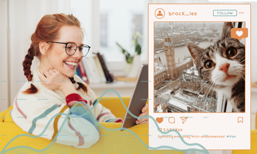 Paylaşımlarınızı Anlık Olarak İzleyin